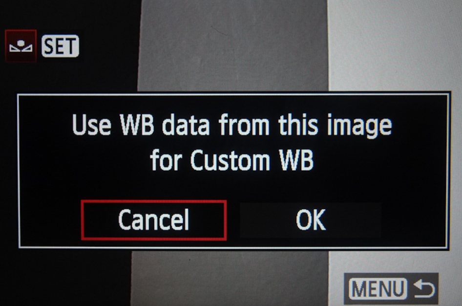 Option to use White Balance Data for a particular image.